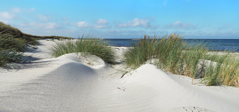 Baltic Sea Beach with Clouds and Sea Grass - Panorama