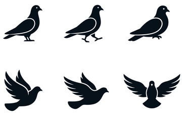 Fototapeta premium Black pigeon and dove silhouettes in various flight and ground poses