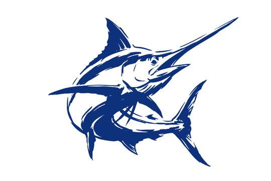 Blue marlin fish illustration with artistic brush strokes. Sport fishing vector graphic design. Ocean wildlife logo element on white.