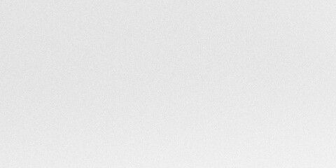 Minimalist white paper texture background showing fine grain and subtle gray noise for clean professional website design look. © SmartVector Studio