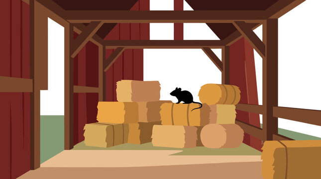 A small black rat sitting on top of a stack of hay bales inside a rustic barn. EPS Editable. Vector Illustrations.