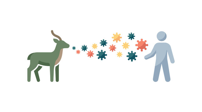Illustration showing zoonotic virus transmission from deer to human. EPS Editable. Vector Illustrations.