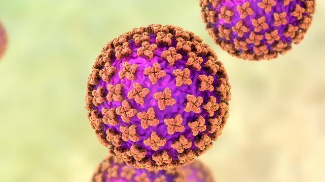 Hantavirus particles, 3D animation showing multiple virions slowly drifting, causative agents of hantavirus pulmonary syndrome and haemorrhagic fever with renal syndrome.