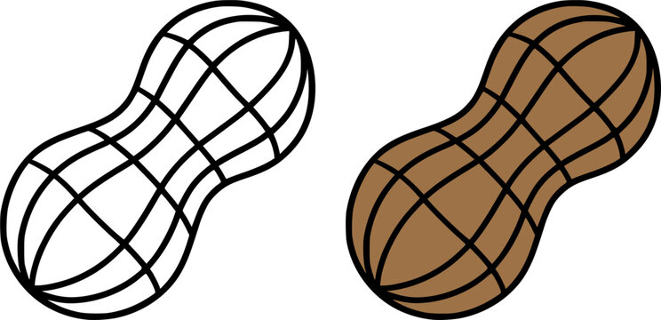 Minimalist peanut icon illustration in line art and colored design, for coloring page