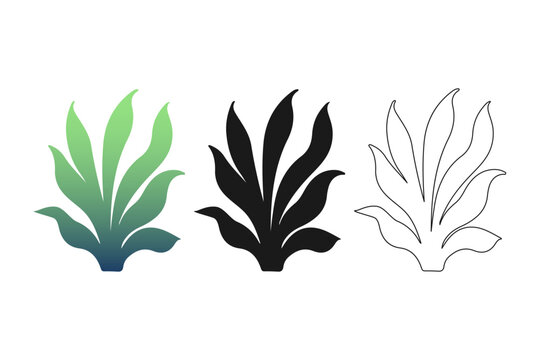 Hand drawn doodle sea lettuce silhouettes set with black icon, line art and emerald-blue gradient for organic skincare branding, nautical stationery and coastal interior decor.