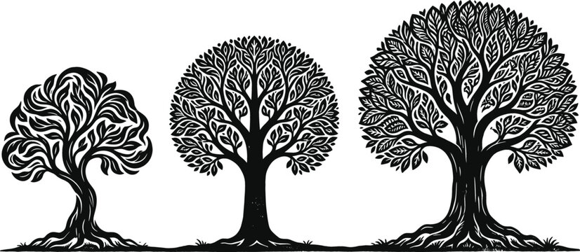 Decorative black tree silhouettes collection with detailed branches and roots isolated nature vector illustration set for artistic design projects