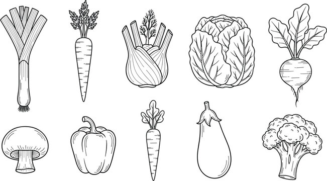 Hand drawn black and white vegetable vector set. Includes leek, carrot, fennel, cabbage, beet, bell pepper, eggplant, mushroom, and broccoli. Perfect for farm and food illustrations.