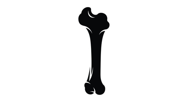 Human femur bone silhouette illustration on white background anatomy study graphic