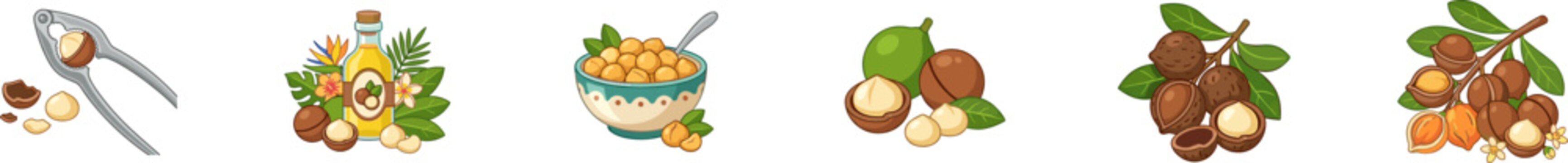 Vector set of macadamia nuts with nutcracker, oil bottle, and harvest branches