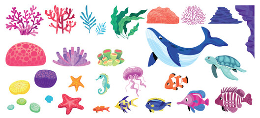 Ocean Marine Life Vector Illustration Collection © Macrovector