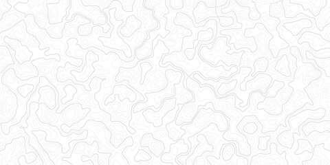 Obraz premium Gray abstract topographic map contour lines on white background pattern