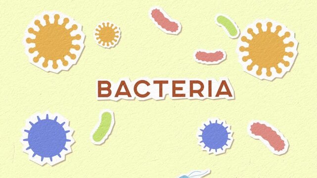Colorful Paper Style Bacteria and Microbes Animation