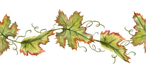 Grapes vine watercolor seamless border. Green leaves repeat horizontal ornate. Hand drawn Illustration isolated from background. For label, branding, kitchen decoration, tea packaging design © Yulia Kapura