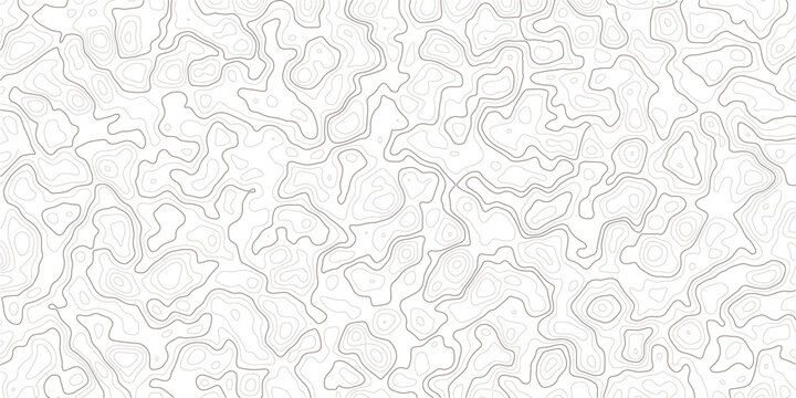 Gray topographic contour lines on white background  abstract geographic pattern