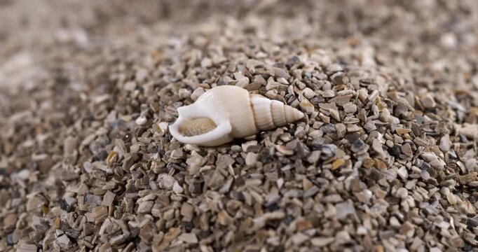 Super Slow Motion Uncovering Fine And Fragile Characteristics Inside Shell