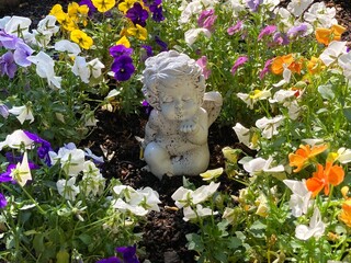 Obraz premium Kleiner Engel zwischen Blumen auf dem Friedhof in der Sonne