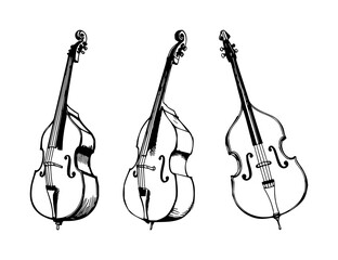 Double bass set with upright posture and sketchbook style lines featuring artistic textures, black ink pen, musical instrument illustration with acoustic and recording © mdbakul