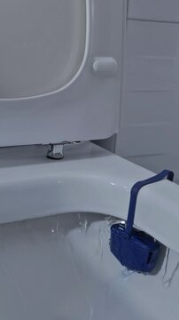 Closeup sanitary toilet hanger inside modern restroom representing bathroom hygiene and cleanliness