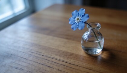 Obraz premium Sitting clear bud vase holding blue five-petaled flower with water on wooden table, copy space