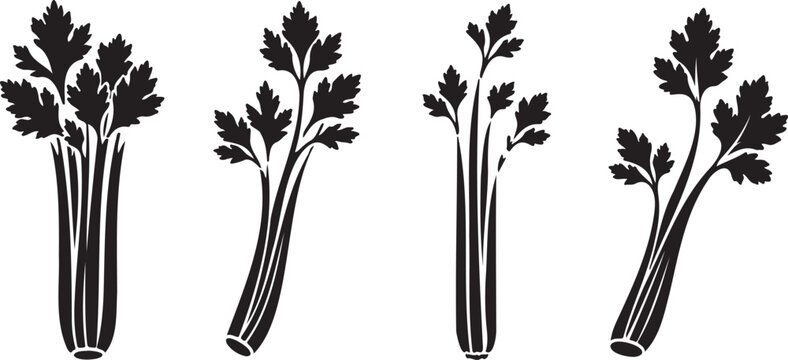 celery vegetable icon set, black fresh herb vector collection, organic food symbol design