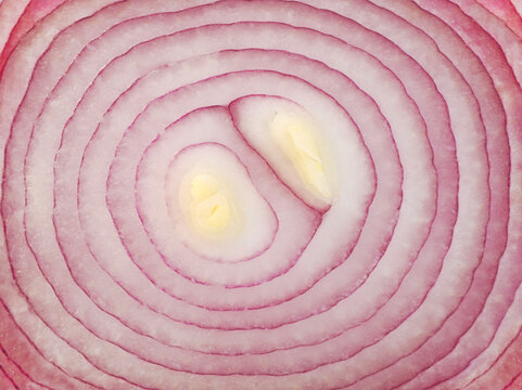 Sliced onion macro view, cut onion close up 
