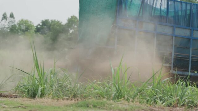 Rear view of a blue agricultural tractor spreader machine working in a lush green sugarcane field, dispersing soil and organic matter during daytime under natural bright overcast lighting.
