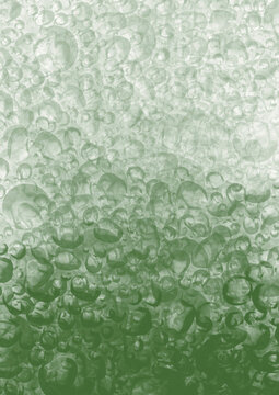 Arri&egrave;re-plan organique de bulles et motifs fluides en d&eacute;grad&eacute; &ndash; Texture abstraite et apaisante pour designs cr&eacute;atifs vert