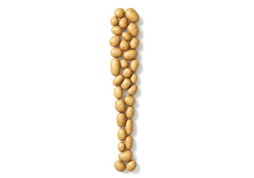 A vertical arrangement of many small and medium sized potatoes laid out on a white background