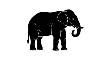 Obraz premium Black silhouette elephant standing.