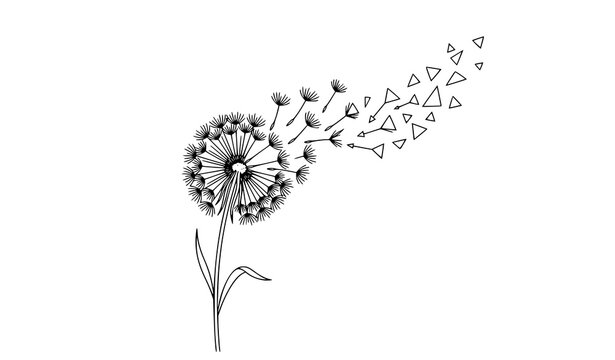 Modern dandelion transforming into geometric triangle pattern clean minimal outline vector design