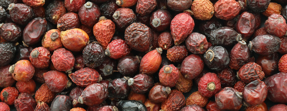 Rose hips dried fruits on table close up. Large amount of red rose hips