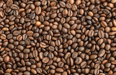 Fototapeta premium Brown roasted coffee beans in big pile on table close up. Large amount of coffee grains