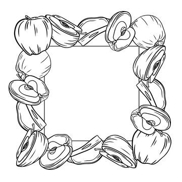 Illustration of a hand-drawn apple-themed decorative border with whole and sliced apples forming a square frame