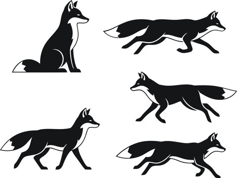 Fox in different running poses Vector