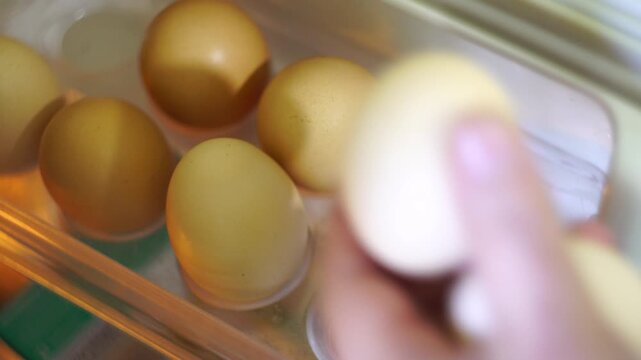 open the refrigerator and take the eggs.