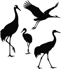 Fototapeta premium Four cranes in flight and standing Vector