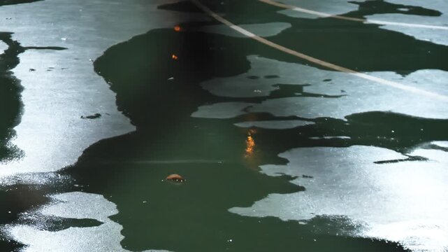 Chain-link fence close-up against a wet, blurry night basketball court with reflections.
