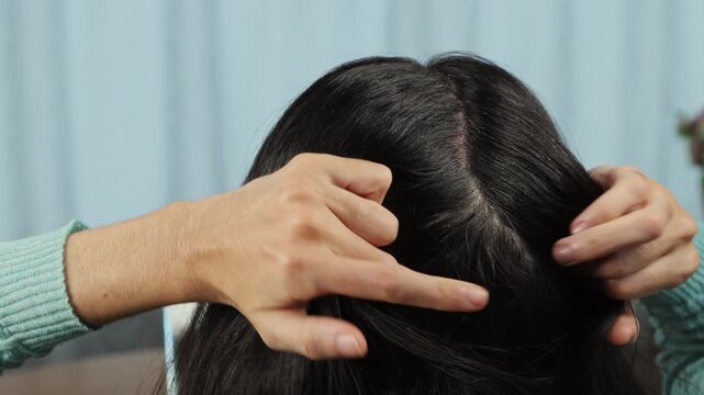 Beautiful young woman using her hands to separate and section her hair while preparing a braid during a relaxed grooming and self care routine indoors in a natural setting