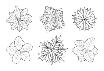 Set of indoor plants top view minimalist drawings. variety of trees line art for architectural plan presentation. © SR