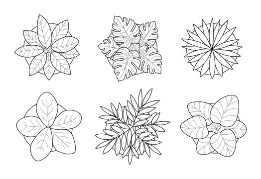 Set of indoor plants top view minimalist drawings. variety of trees line art for architectural plan presentation.
