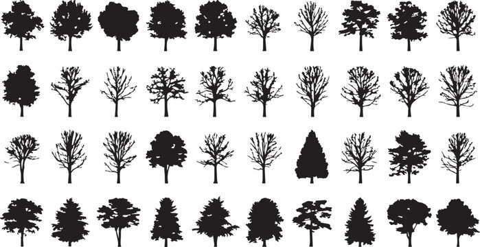 Black and white collection of stylized maple leaves in various orientations maple leaf botanical