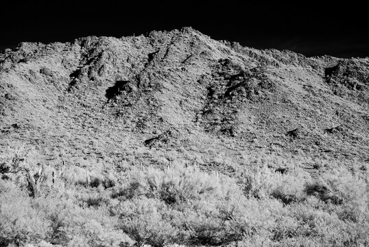 Black and White Sonoran Desert Arizona
