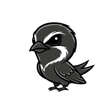 Vector illustration of a black and grey swift bird mascot character with white markings, featuring a stylized head, expressive eyes, and sharp wings, isolated on a white background.