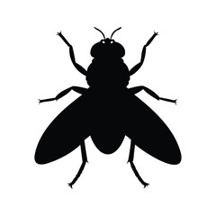 Black and white fly silhouette vector illustration for minimalist design, fly silhouette vector illustration © hamiduls11arts