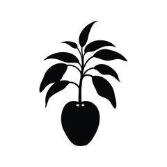 Black and white mango tree seedling with broad leaves silhouette vector illustration design, mango tree seedling silhouette vector illustration © hamiduls11arts