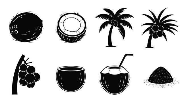 Coconut Collection Silhouettes of Whole Coconuts Palm Branches and Coconut Products