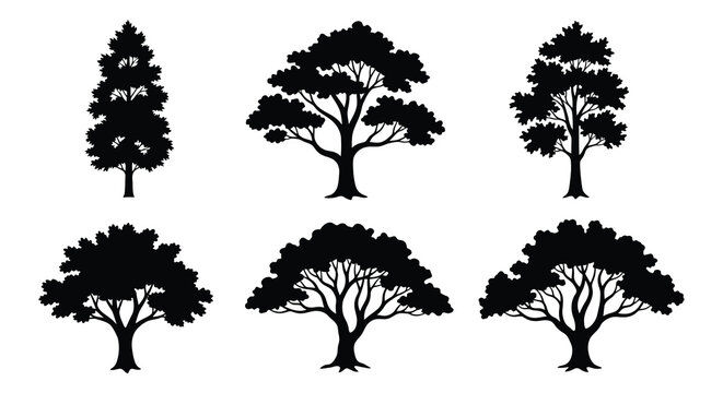 Tree silhouettes collection black shapes on white background