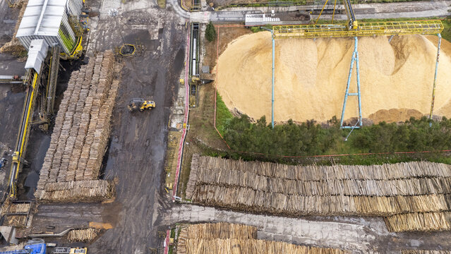 Aerial view of Biofabrica de Ence with large stacks of timber logs and piles of wood chips under industrial cranes in Pontevedra, Pontevedra, Spain.