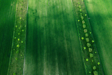 Fototapeta premium Aerial drone view of agriculture landscape in Moravia
