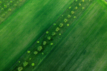 Fototapeta premium Aerial drone view of agriculture landscape in Moravia